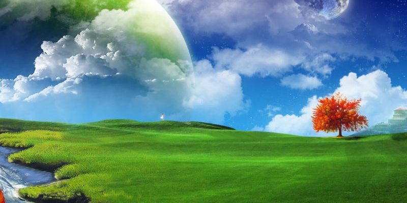 ecologia_informativa